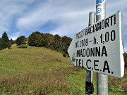 19 Per il Pizzo Baciamorti un'ora seguendo il sentierino in cresta